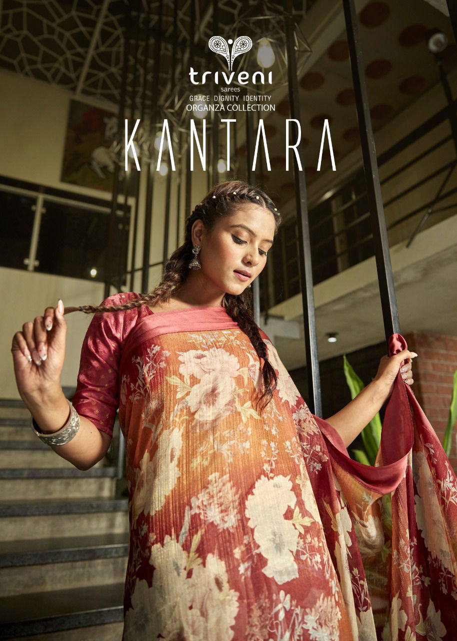 Triveni Kantara Fancy Ethnic Wear Wholesale Printed Saree Catalog